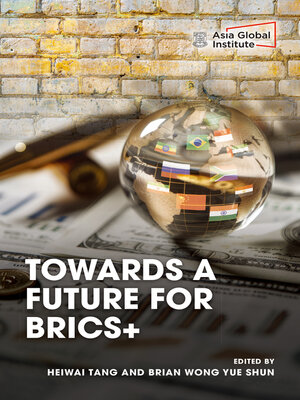 cover image of Towards a Future for BRICS+